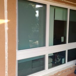 a dog in a window