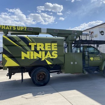 Tree Ninjas - Tree Services Near Me