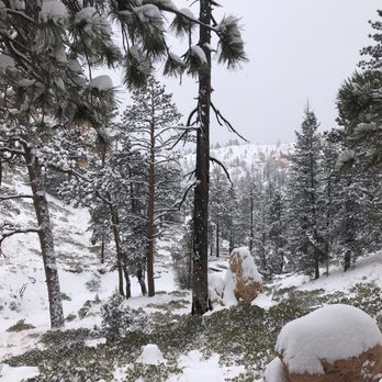 Bryce Canyon National Park - Parks Near Me Bryce Canyon National Park - Parks Near Me