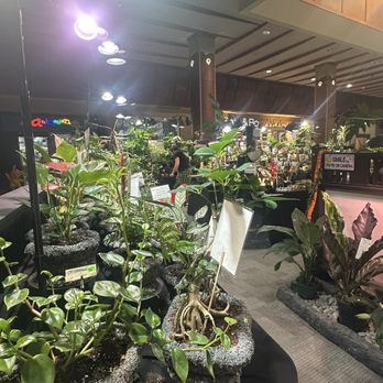 Happy Koi Nursery - Nurseries & Gardening Near Me - Aiea, Hawaii Happy Koi Nursery - Nurseries & Gardening Near Me - Aiea, Hawaii
