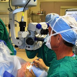 Alan L. Robin, MD