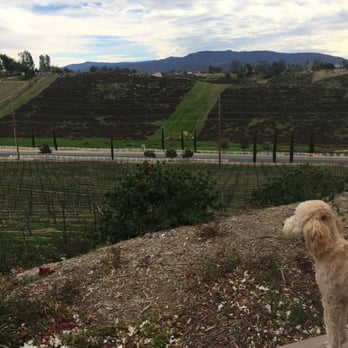 Miramonte Winery - Wineries Near Me - Temecula, California Miramonte Winery - Wineries Near Me - Temecula, California
