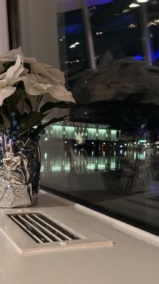 City Cruises by null