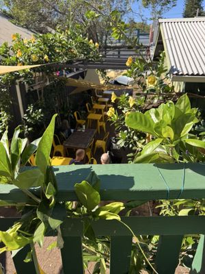 VIDA by Sip Me Maui by null