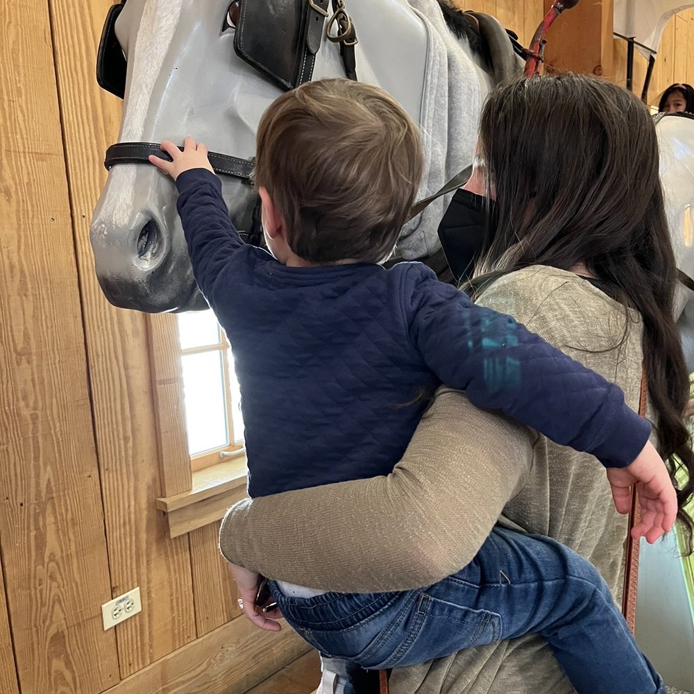Indoor pretend horse & carriage