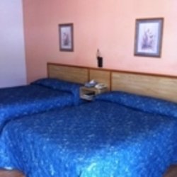 Rose Motel - Photo