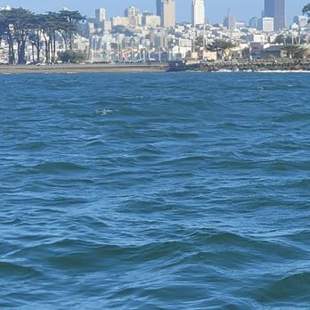 Bay Voyager - Tours Near Me - San Francisco, California