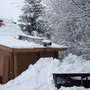 Photo of T & M Restoration LLC