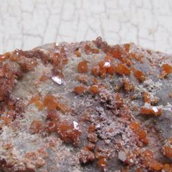 Mineral Collector