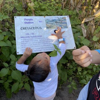 Scott's Maze Adventures - Farms Near Me - Mount Dora, Florida