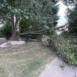 Raritan Valley Tree Service