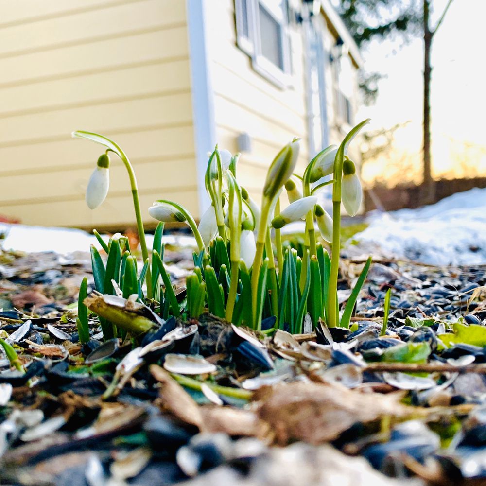 HOMER MASSAGE THERAPY Updated June 2024 22 Photos 23 Clinton St