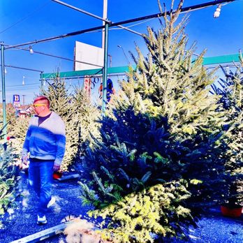 The Garden Station - Sir Hubbers looking for the perfect tree :) - Nurseries & Gardening Near Me - Ardmore, Oklahoma The Garden Station - Sir Hubbers looking for the perfect tree :) - Nurseries & Gardening Near Me - Ardmore, Oklahoma