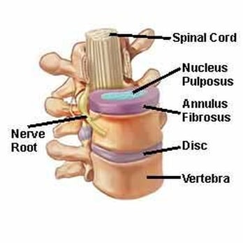 Triangle Disc Care - Chiropractors Near Me - Raleigh, North Carolina Triangle Disc Care - Chiropractors Near Me - Raleigh, North Carolina