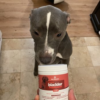My Pet Garden - Lola enjoying her Pet Parents supplement - Pet Stores Near Me - Pasadena, California