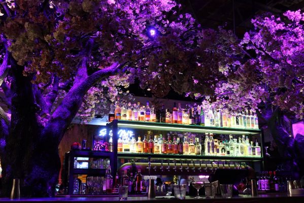 Cloak and Petal Little Italy by null