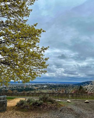 Arbor Crest Wine Cellars by null
