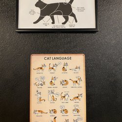 Crooked Tail Cat Cafe