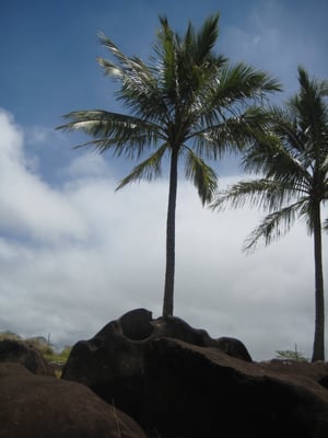 Kukaniloko Birth Stones by null