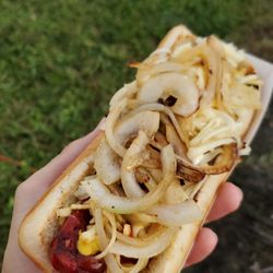 Special Spicy Hot Dog from our menú.
