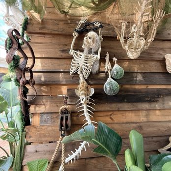 Helena Modern Riviera - Halloween decor - Mediterranean Near Me - Orlando, Florida Helena Modern Riviera - Halloween decor - Mediterranean Near Me - Orlando, Florida