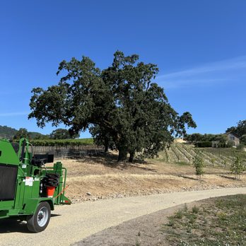 Treels - Tree Services Near Me - Santa Rosa, California