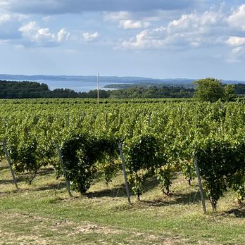 Bonobo Winery - Vineyards and bay in the distance - Wineries Near Me - Traverse City, Michigan