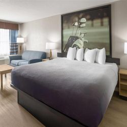 Super 8 by Wyndham Ellenton Bradenton Area - Guest room