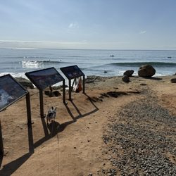 Point Loma Tide Pools - Infographics