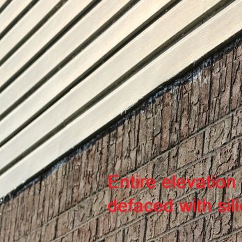 Animal Pros - South Elevation - Wildlife Control Near Me - Hendersonville, Tennessee