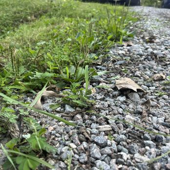 JBC Landscaping - Missed grass by driveway - Lawn Services Near Me - Phar, Texas JBC Landscaping - Missed grass by driveway - Lawn Services Near Me - Phar, Texas