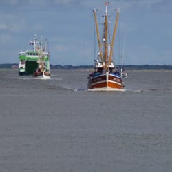 Fischerei-Genossenschaft Neuharlingersiel