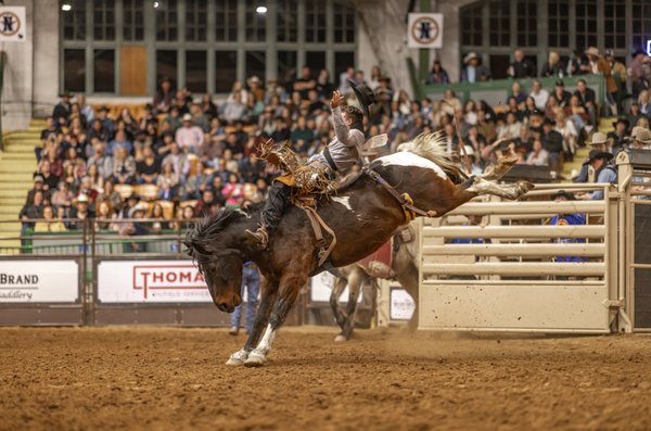 Cowtown Coliseum by null