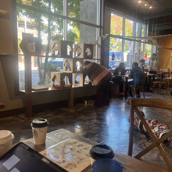 Seattle Meowtropolitan - Main cat area by the big window. - Themed Cafes Near Me - Seattle, Washington