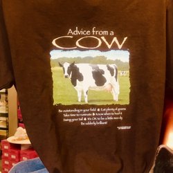 Paisley Cow