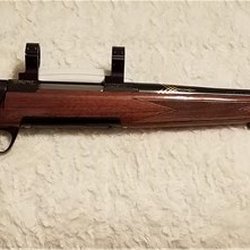 Three D Outfitters - Browning 270 Medallion Safari