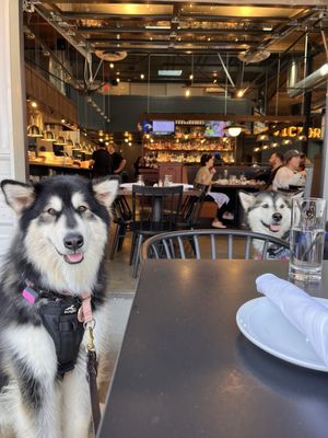 The Victor Tavern - Edmonds by null