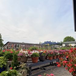 New Leaf Greenhouse