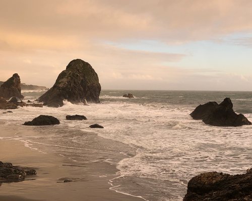 Harris Beach by null