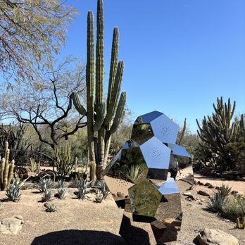 Desert Botanical Garden - Botanical Gardens Near Me - Phoenix, Arizona Desert Botanical Garden - Botanical Gardens Near Me - Phoenix, Arizona