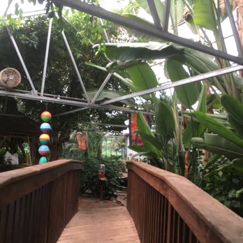 Tropic Bay Water Gardens - Are we in wonderland! - Aquarium Services Near Me - Davidsonville, Maryland Tropic Bay Water Gardens - Are we in wonderland! - Aquarium Services Near Me - Davidsonville, Maryland