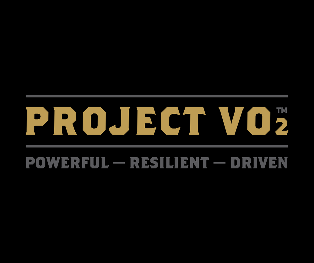 Project VO2 Logo