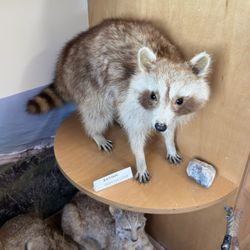 Nature Interpretive Center and Trails