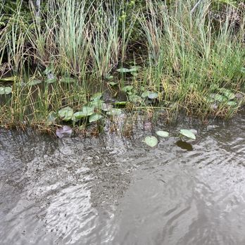 gator park - Boat Tours Near Me - Miami, Florida gator park - Boat Tours Near Me - Miami, Florida