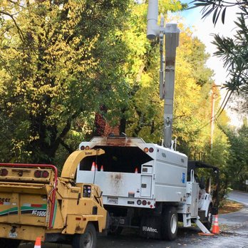 1. AAA Tree Service