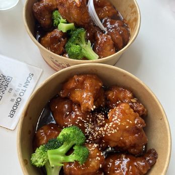 88 Dumpling House - Orange and sesame chicken are delicious! Portions are great for the price, enough to share with someone. Wish I lived closer to this place! - Pan Asian Near Me - Houston, Texas