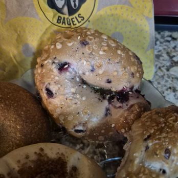 Einstein Bros. Bagels - Blueberry NY STYLE Bagel from Einstein's Bros Bagels in Rochester Hills formerly Bruggels. 7/15/2026 - Bagels Near Me - Rochester Hills, Michigan Einstein Bros. Bagels - Blueberry NY STYLE Bagel from Einstein's Bros Bagels in Rochester Hills formerly Bruggels. 7/15/2026 - Bagels Near Me - Rochester Hills, Michigan