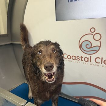 Coastal Clean - Dog wash - Laundromat Near Me - San Luis Obispo, California