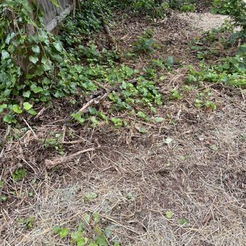Teos Landscaping - Wood chips and ivy debris not cleaned - Landscaping Near Me - Powder Springs, Georgia Teos Landscaping - Wood chips and ivy debris not cleaned - Landscaping Near Me - Powder Springs, Georgia