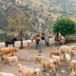 San Marcos